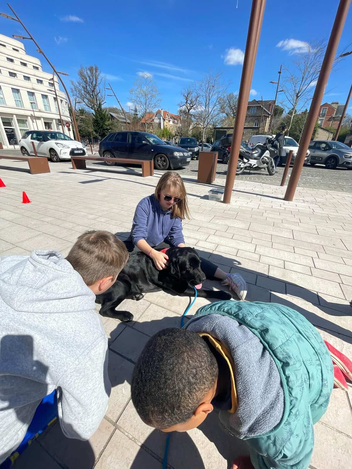 Réjane Colein — expertise professionnelle