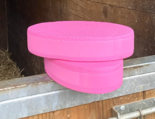 Pads de proprioception équin (x2)