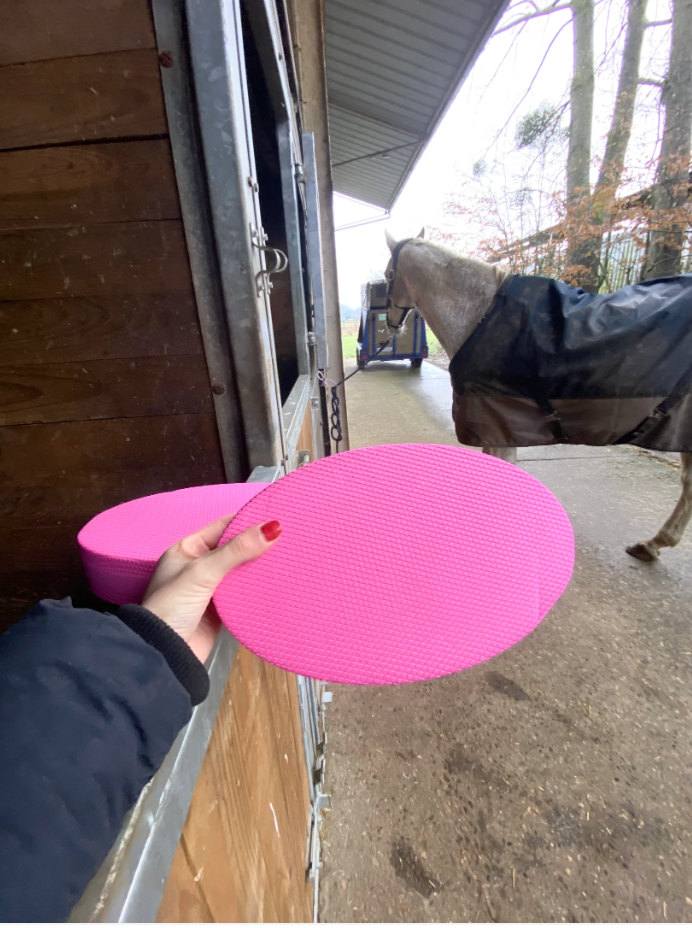 Pads de proprioception équin (x2)