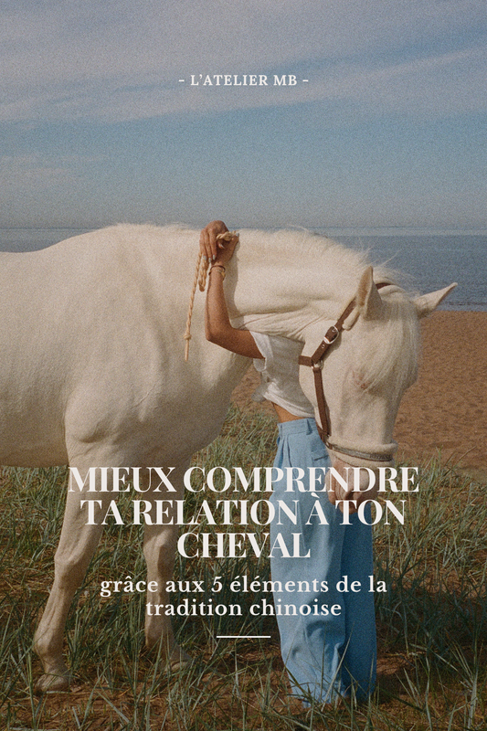 MIEUX COMPRENDRE TA RELATION À TON CHEVAL (grâce aux cinq éléments de la tradition chinoise)