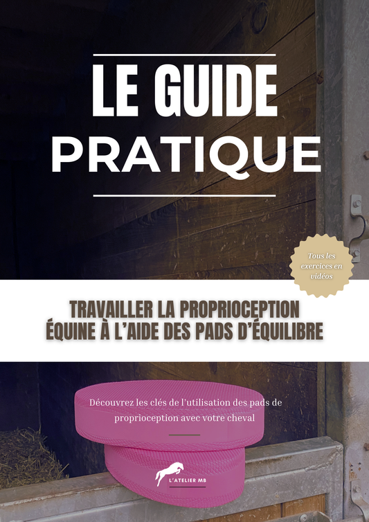WORKBOOK : UTILISER LES PADS DE PROPRIOCEPTION ÉQUINE (exercices progressifs et vidéos)