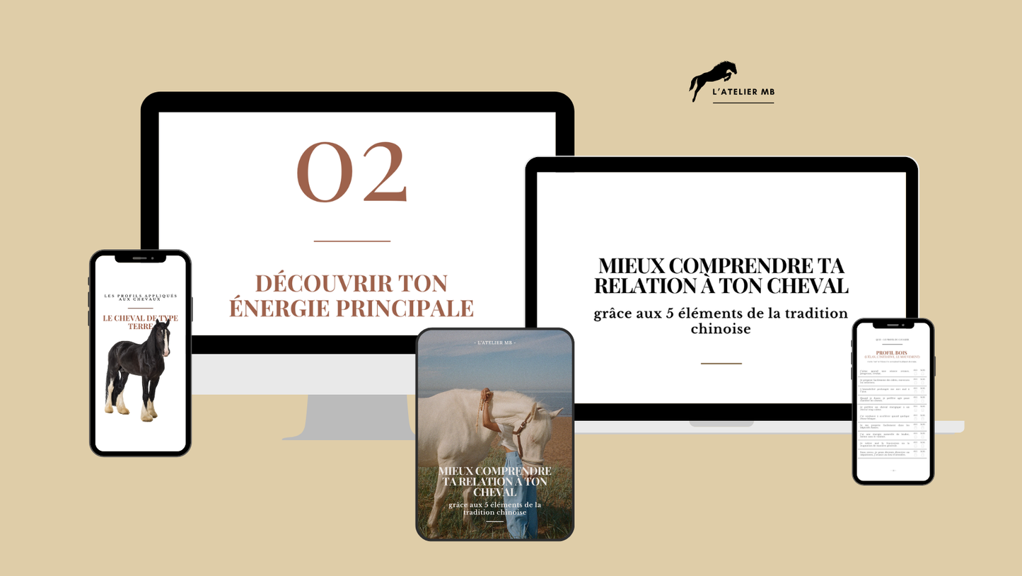 MIEUX COMPRENDRE TA RELATION À TON CHEVAL (grâce aux cinq éléments de la tradition chinoise)