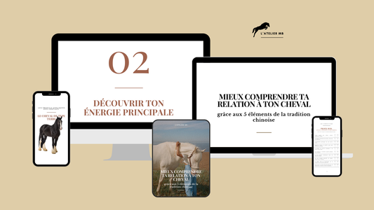 MIEUX COMPRENDRE TA RELATION À TON CHEVAL (grâce aux cinq éléments de la tradition chinoise)