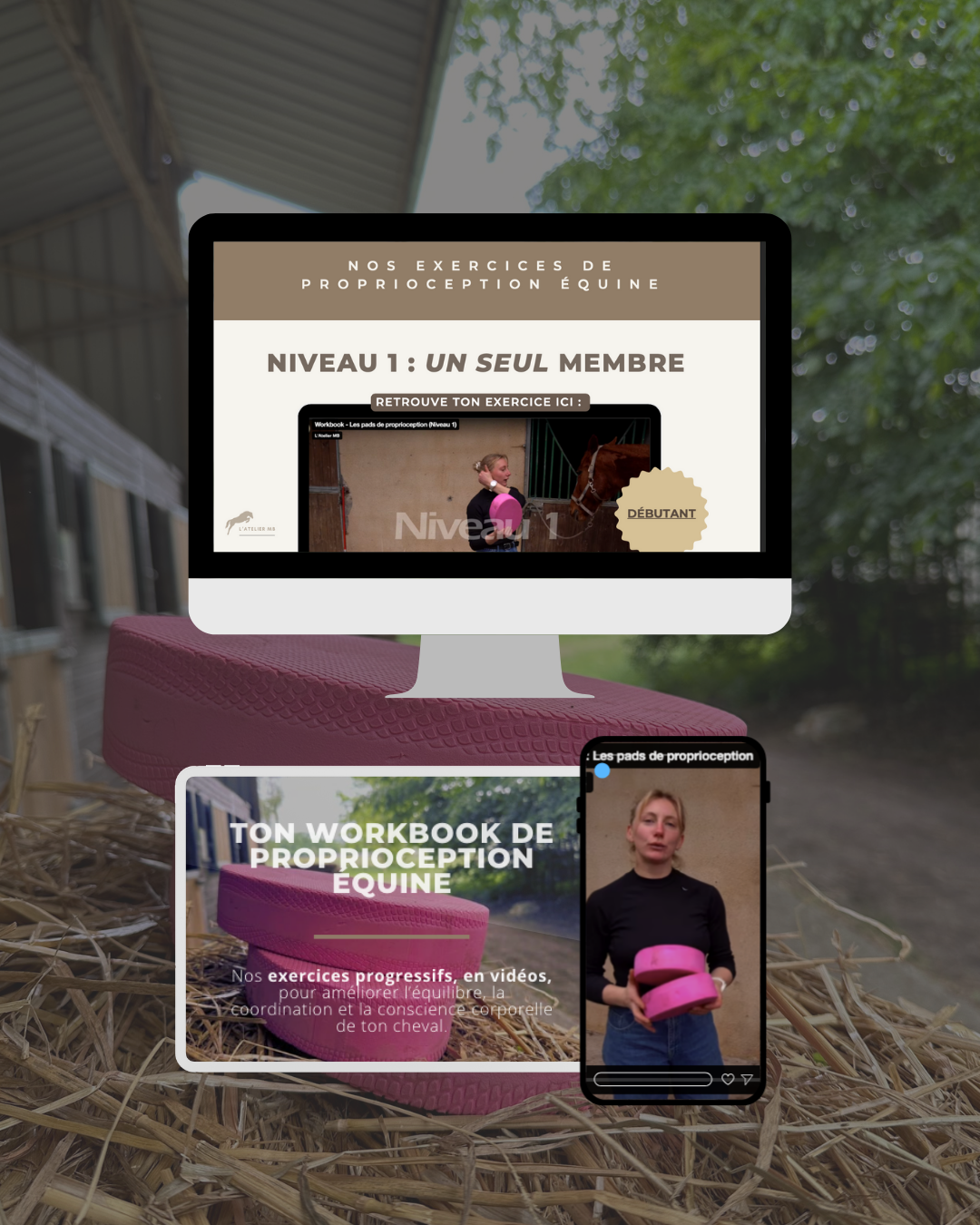 WORKBOOK : UTILISER LES PADS DE PROPRIOCEPTION ÉQUINE (exercices progressifs et vidéos)