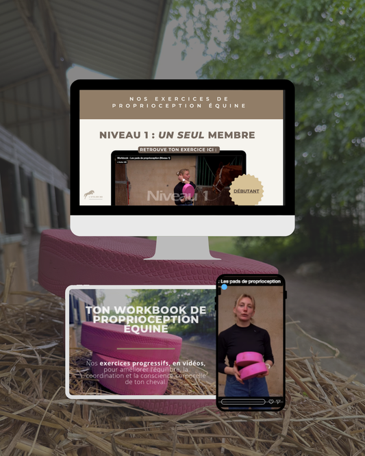 WORKBOOK : UTILISER LES PADS DE PROPRIOCEPTION ÉQUINE (exercices progressifs et vidéos)